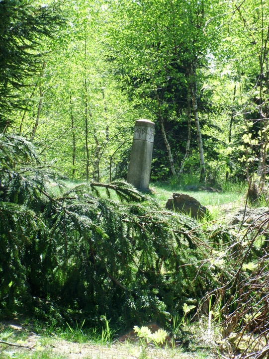 Na vrcholu v roce 2006.jpg - Výstup severním průsekem na Žulový vrch (742 m.n.m.). Vrcholový sloupek